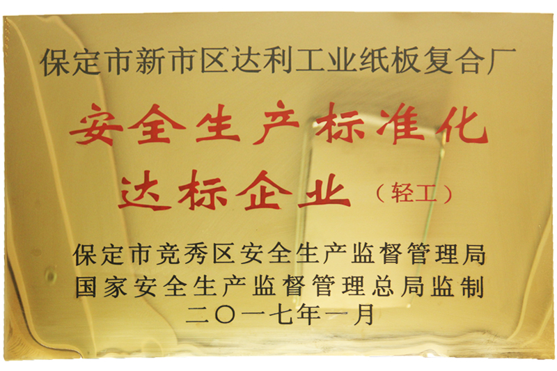 安全生產(chǎn)標(biāo)準(zhǔn)化達(dá)標(biāo)企業(yè)-河北彩色紙板廠家